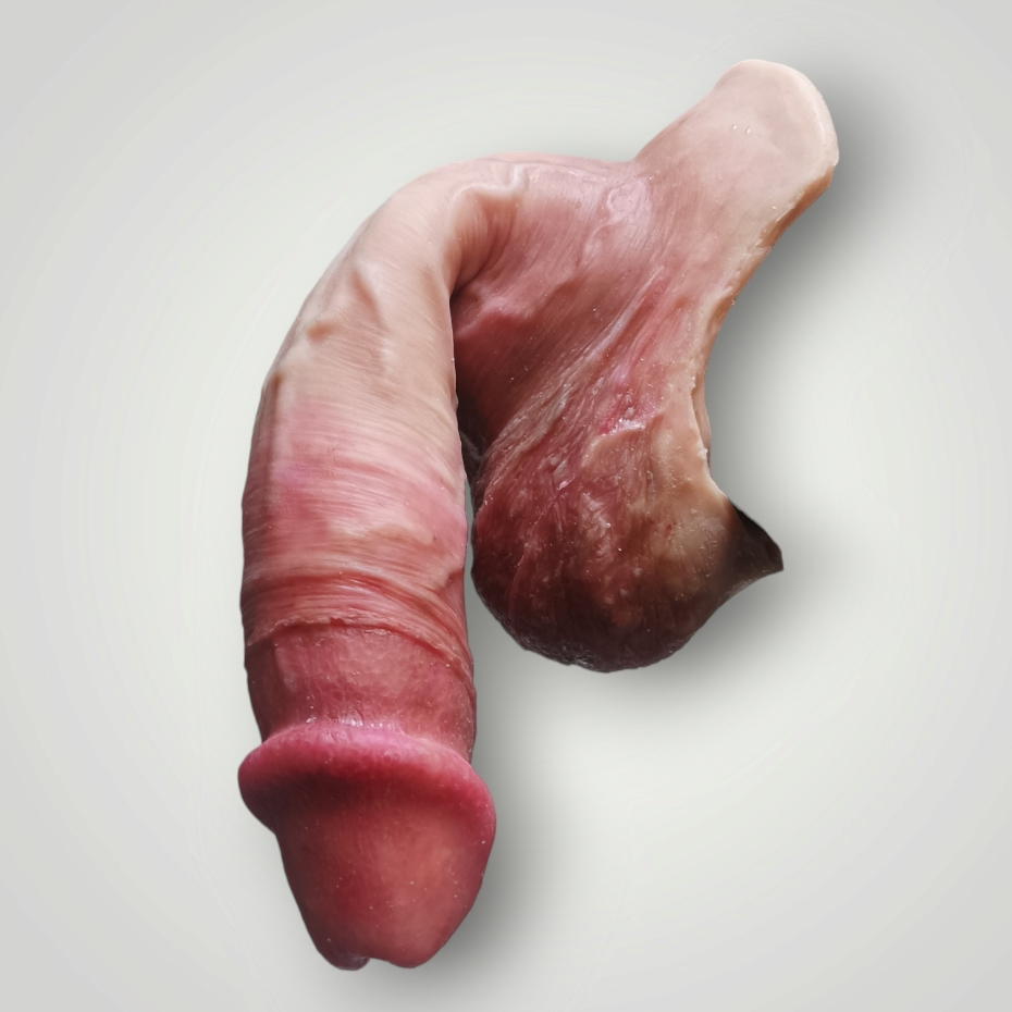 Packer GOYA 4en1 - 17cm