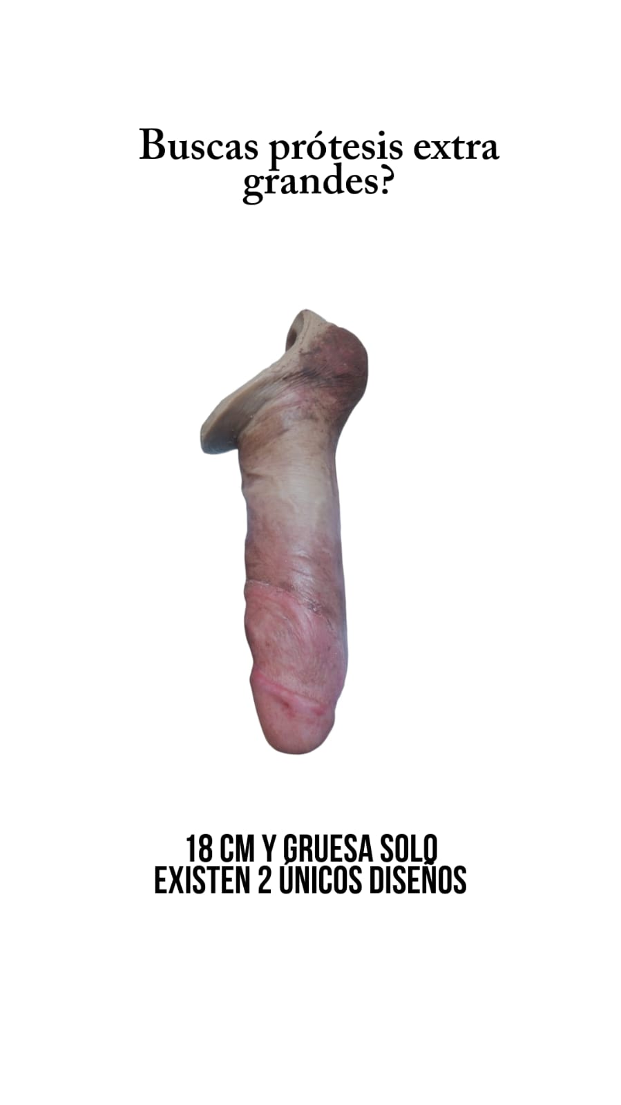 Oferta Packer XL 18cm 4en1