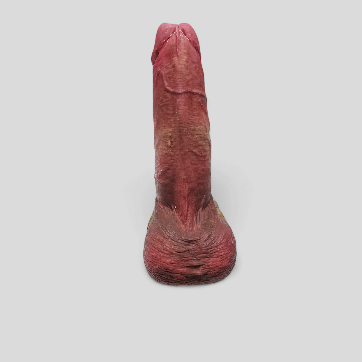 Packer RUBENS 4en1 - 14cm