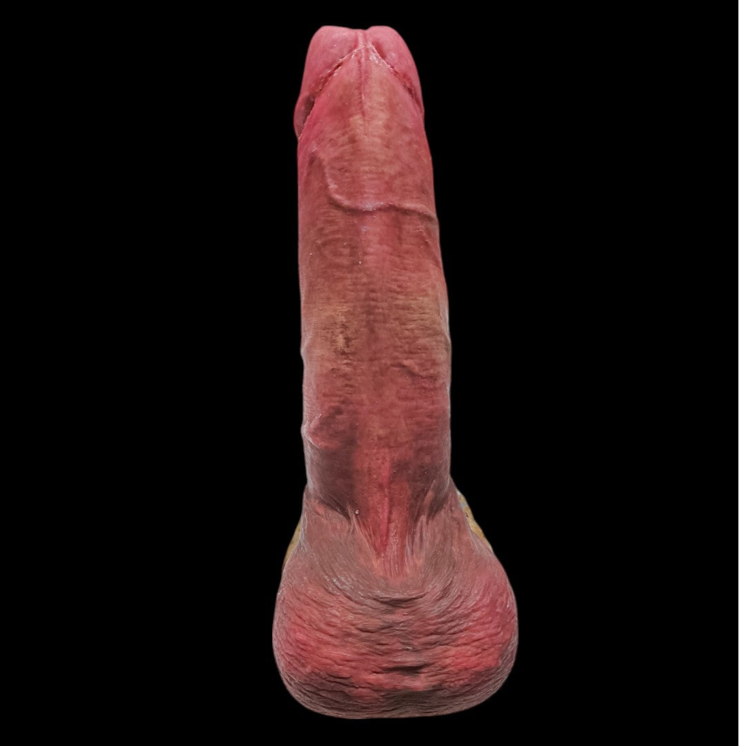 Packer RUBENS 4en1 - 14cm