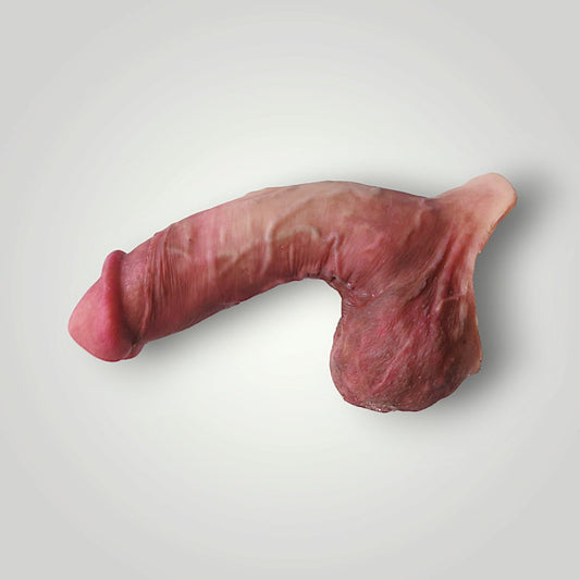 Packer GOYA 4en1 - 17cm