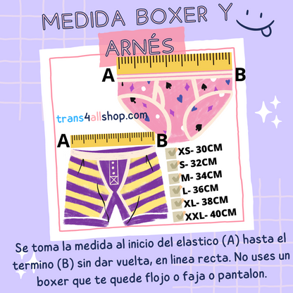 Arnes uso Diario-Strap On